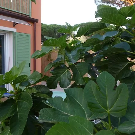 Daire Casa Azul- Bilocale Con Giardino *