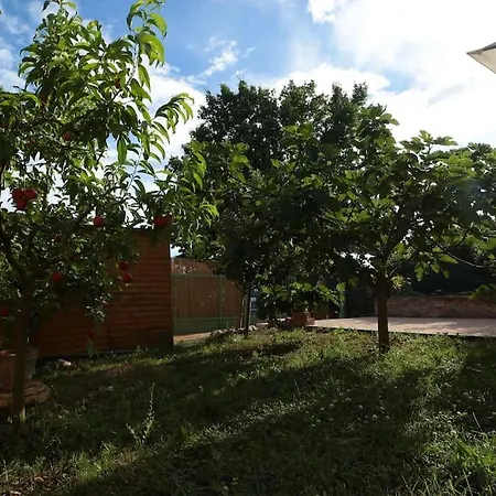 Casa Azul- Bilocale Con Giardino Lägenhet