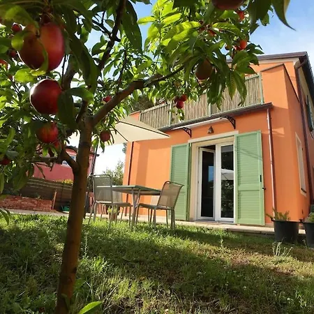 Daire Casa Azul- Bilocale Con Giardino *